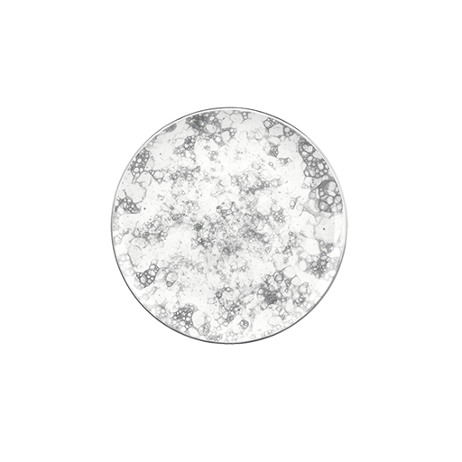 Rocks Black Gourmet Düz Tabak 25 Cm