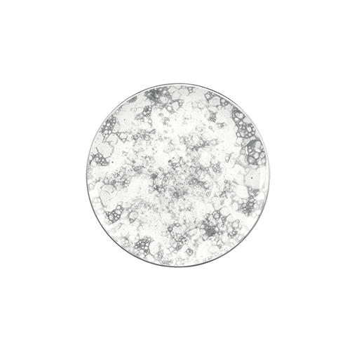 Rocks Black Gourmet Düz Tabak 25 Cm