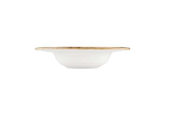 Tropical Gastro Çukur Tabak 25 Cm 400 CC