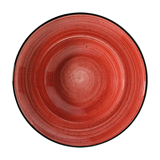 Passion Gourmet Çukur Tabak 27 Cm