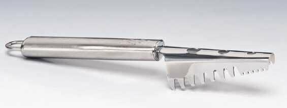 Zicco Balık Pulu Temizleyici