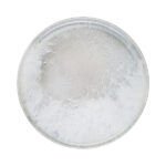 Surf Mesa Pizza Tabağı 31 cm