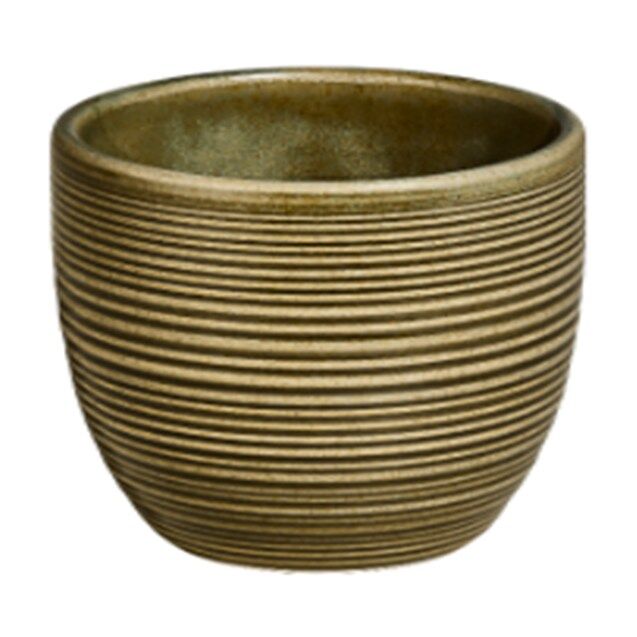Helix Bamboo Çay Fincanı No Handle 220 CC