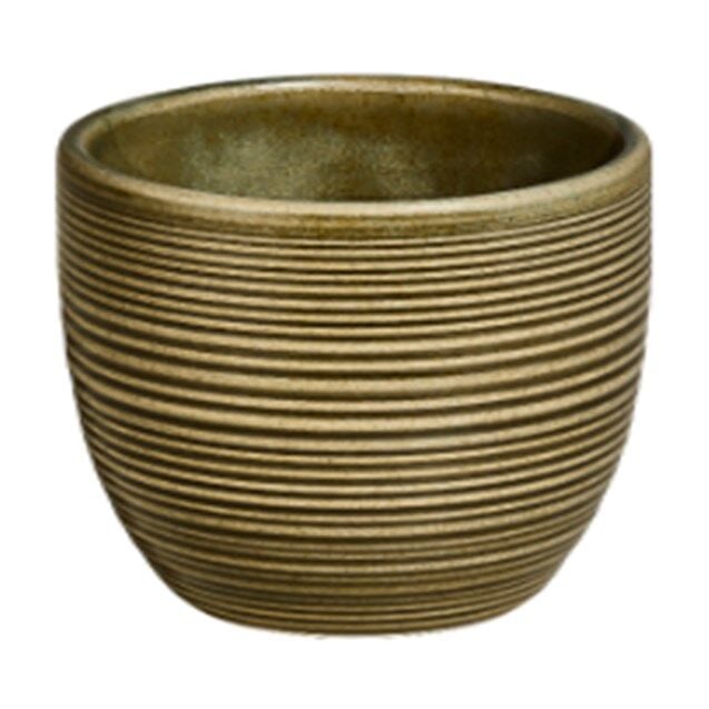 Helix Bamboo Çay Fincanı No Handle 220 CC