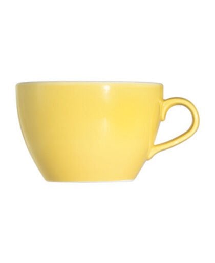 Saga Harvest Alzar Kahve Fincanı 340 cc