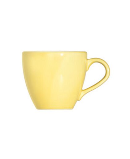 Saga Harvest Alzar Espresso Fincanı 80 cc