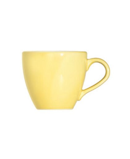 Saga Harvest Alzar Espresso Fincanı 80 cc