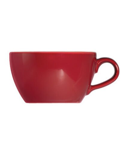 Saga Cherry Alzar Cappuccino Fincanı 270 cc